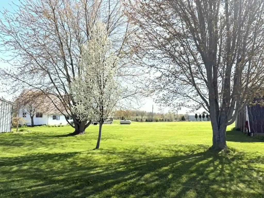 8377 Truman Road Chippewa Township MI 49631