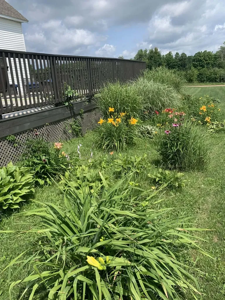 8377 Truman Road Chippewa Township MI 49631
