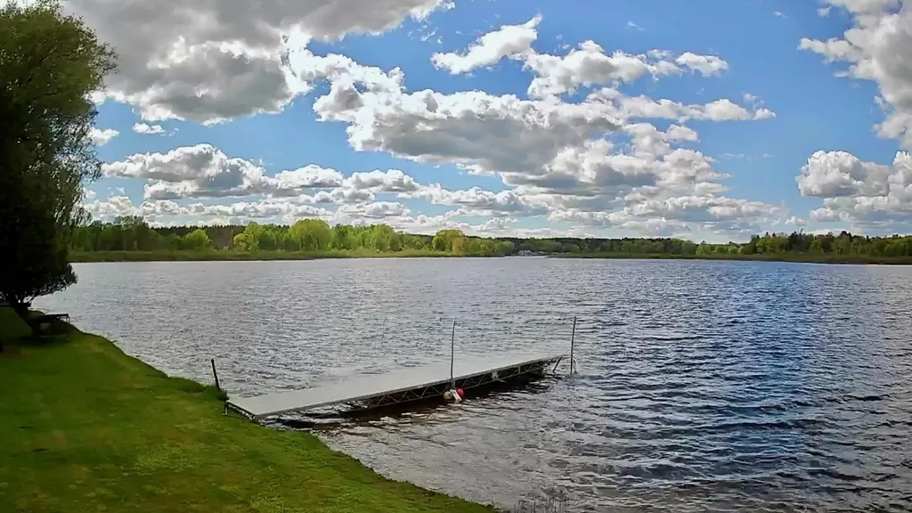 9388 S Lake Drive Evart Township MI 49631