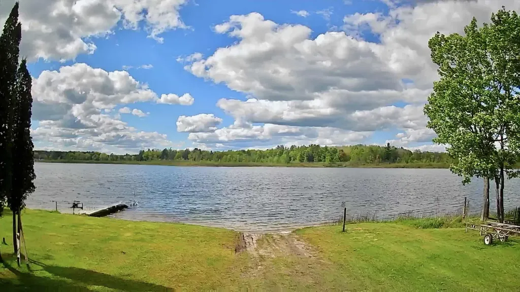 9388 S Lake Drive Evart Township MI 49631
