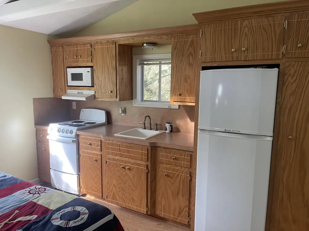 4629 S Croton Hardy Drive Big Prairie Township MI 49337