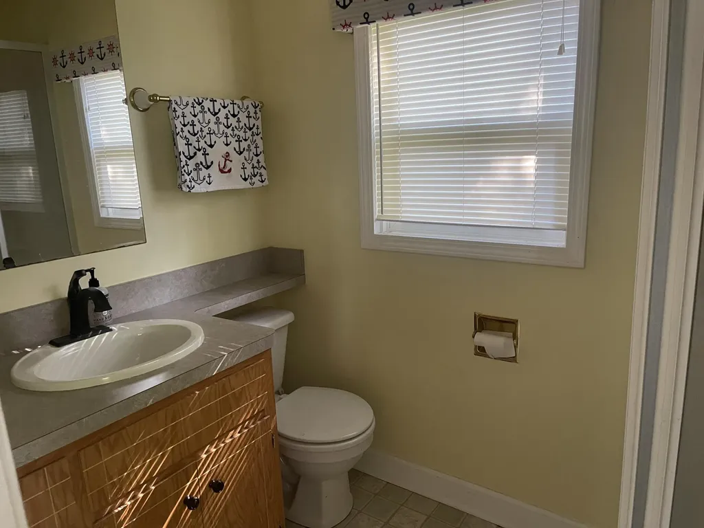 4629 S Croton Hardy Drive Big Prairie Township MI 49337