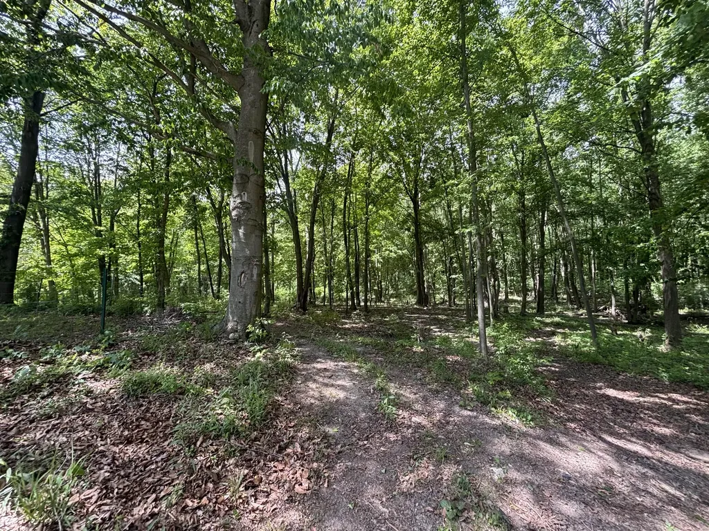 4477 104th Avenue Cheshire Township MI 49010