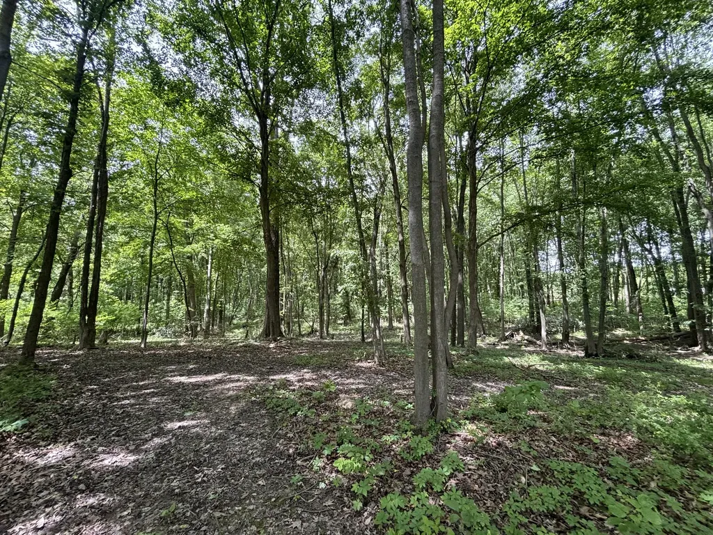 4477 104th Avenue Cheshire Township MI 49010