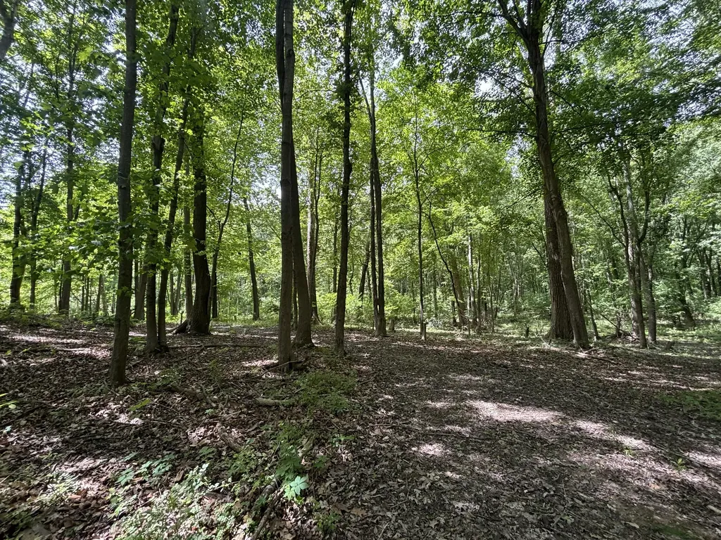 4477 104th Avenue Cheshire Township MI 49010