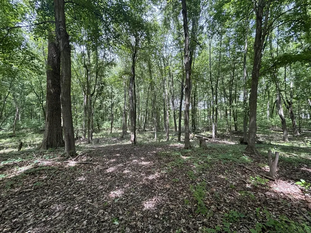 4477 104th Avenue Cheshire Township MI 49010