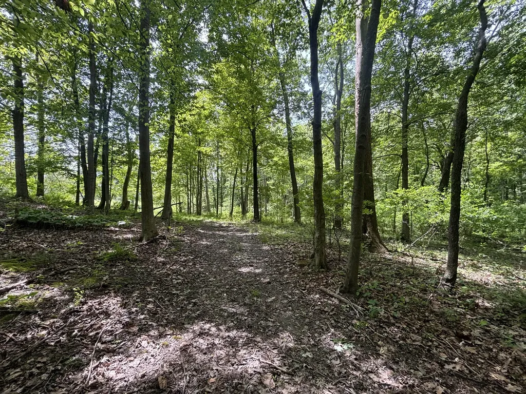 4477 104th Avenue Cheshire Township MI 49010