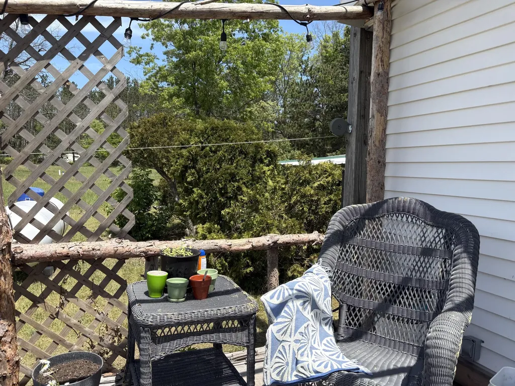8465 S Michcon Avenue Pleasant Plains Township MI 49304