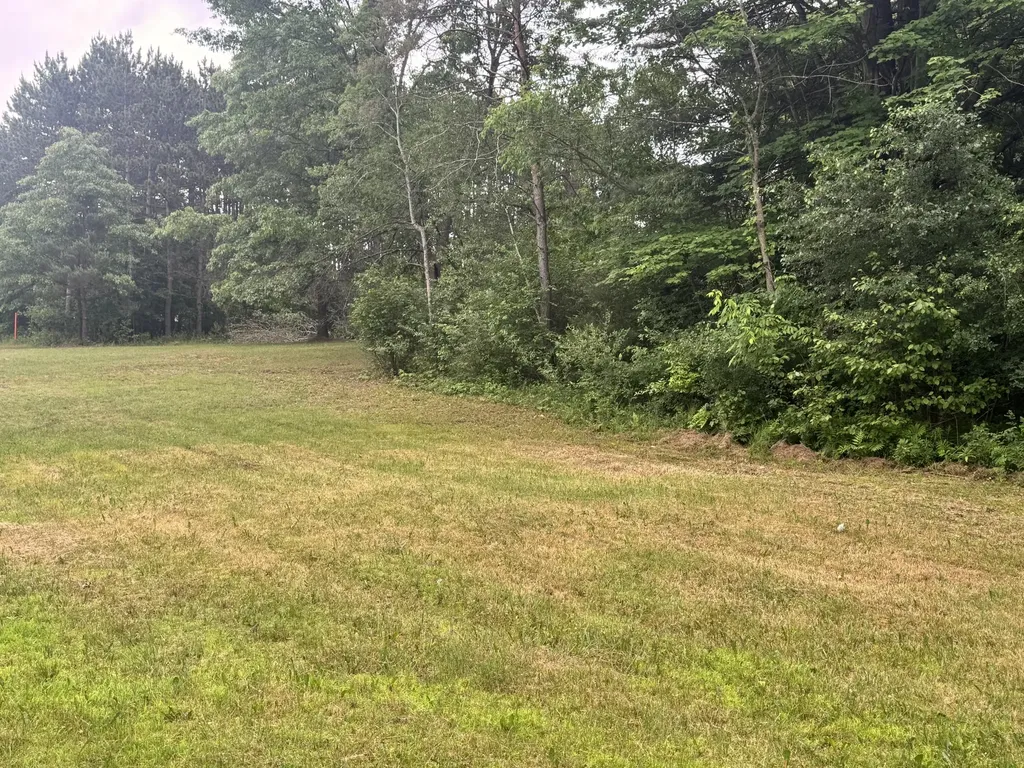19030 W Almy Road Reynolds Township MI 49329