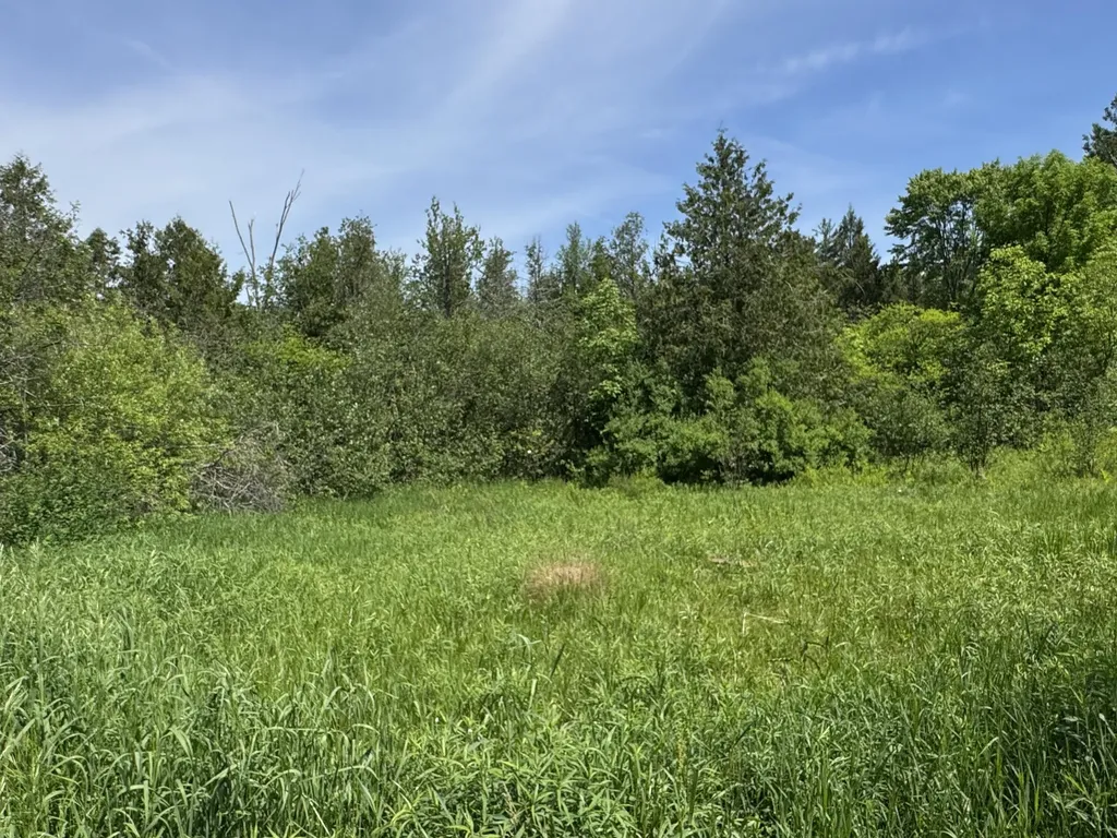 1952 W 16 Road Antioch Township MI 49668