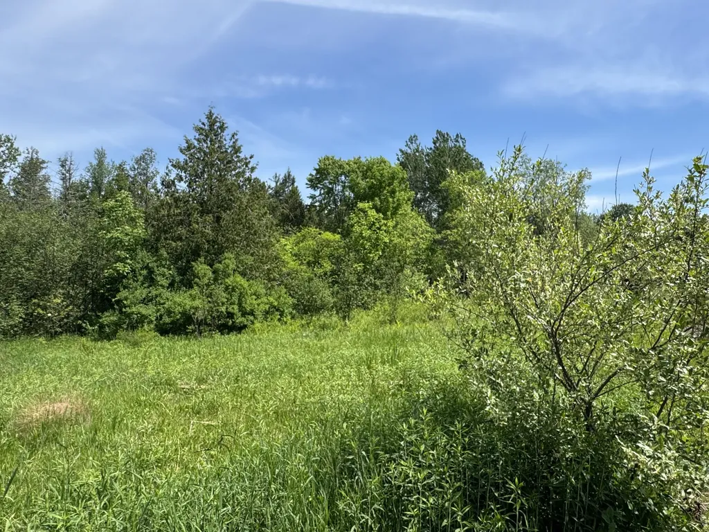 1952 W 16 Road Antioch Township MI 49668