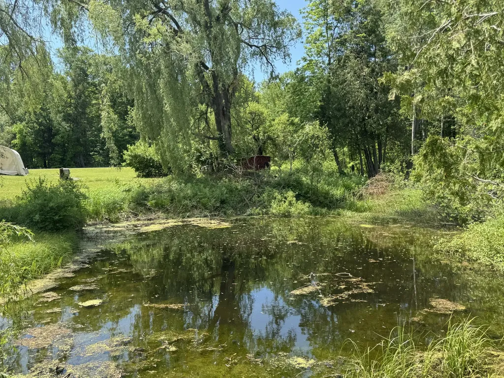 1952 W 16 Road Antioch Township MI 49668