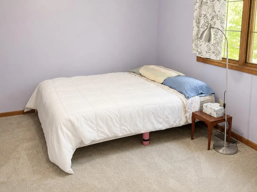 23286 Timberridge Drive Big Rapids Charter Township MI 49307