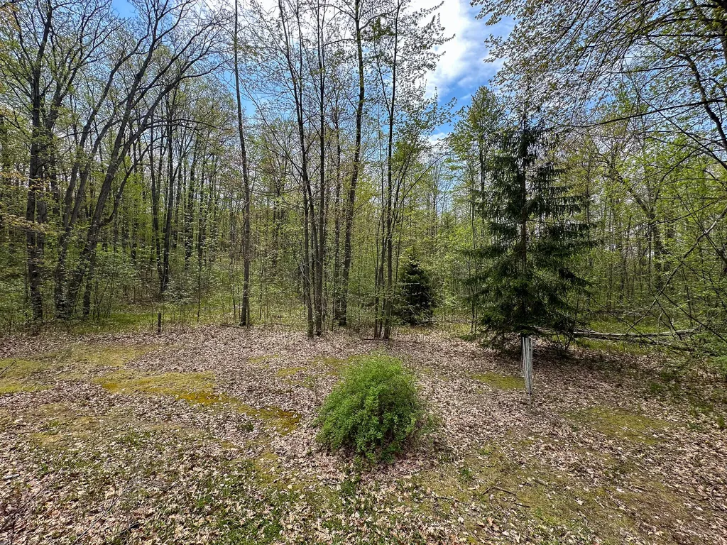 2081 Deer Lake Road Hayes Township MI 48625