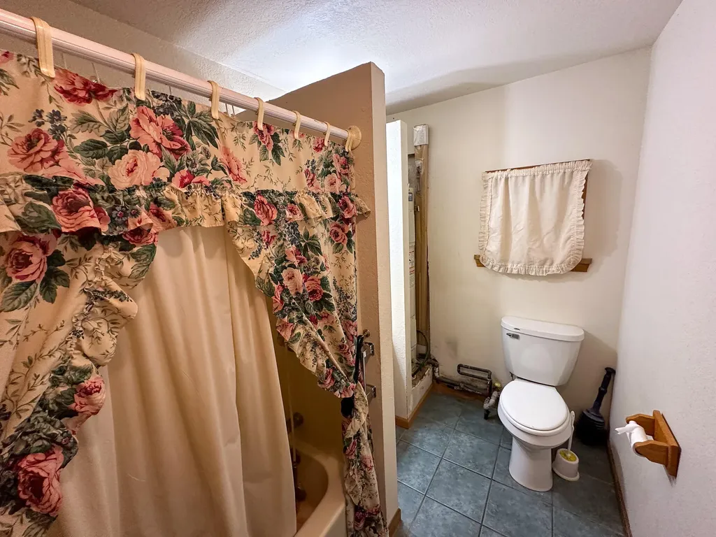 2081 Deer Lake Road Hayes Township MI 48625