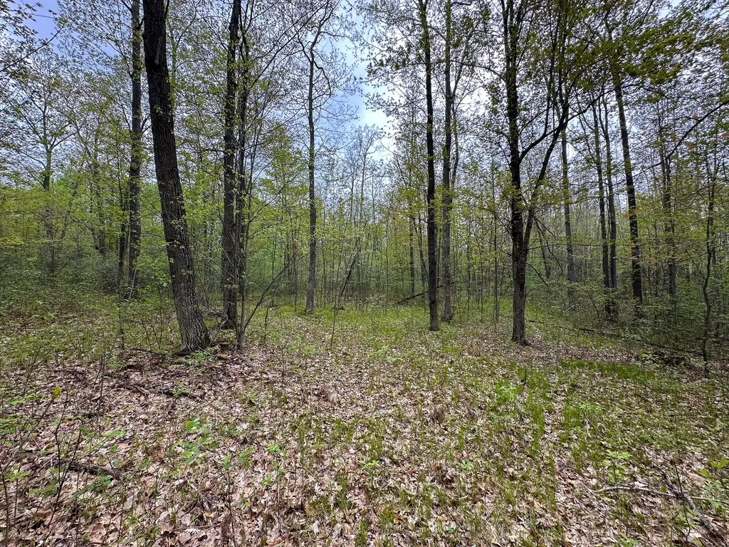 2081 Deer Lake Road Hayes Township MI 48625