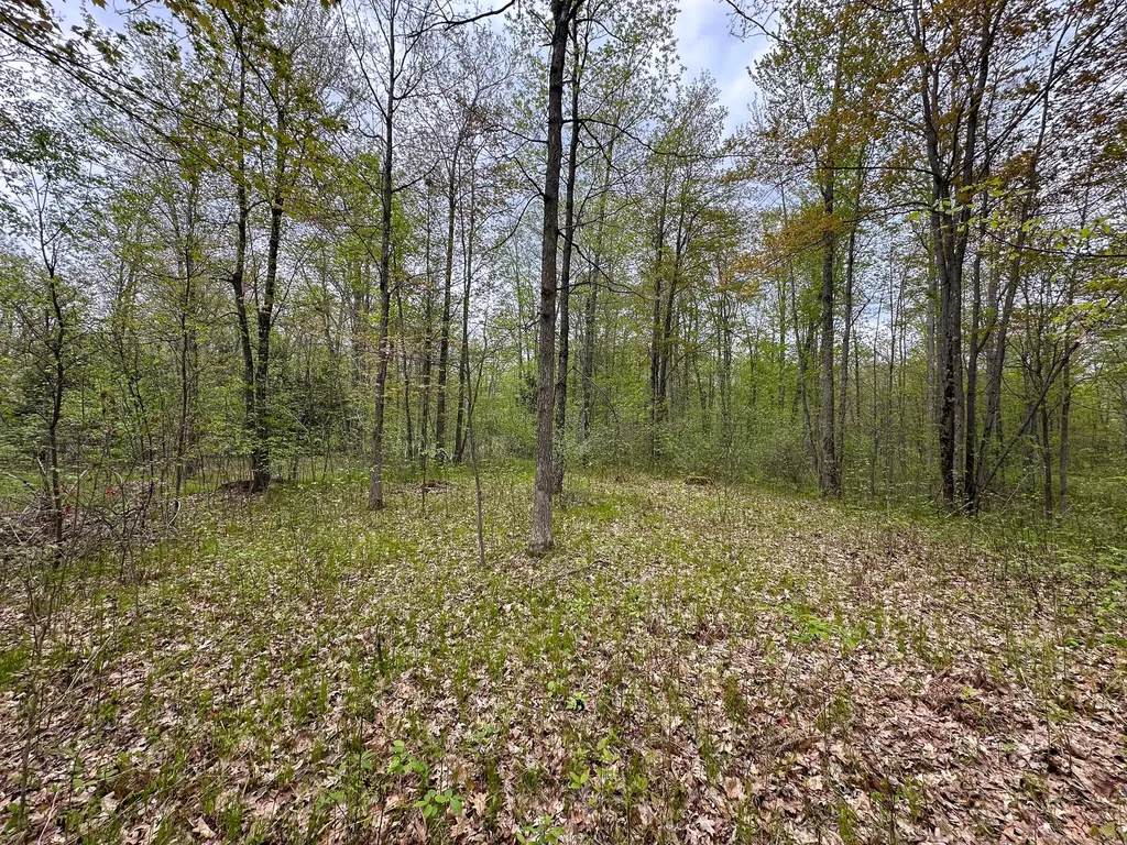 2081 Deer Lake Road Hayes Township MI 48625