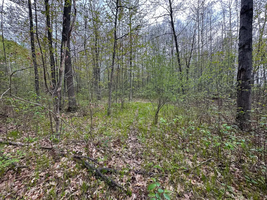 2081 Deer Lake Road Hayes Township MI 48625