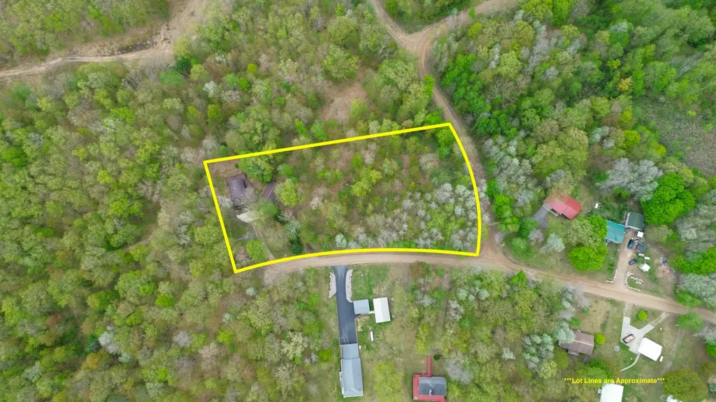 2081 Deer Lake Road Hayes Township MI 48625