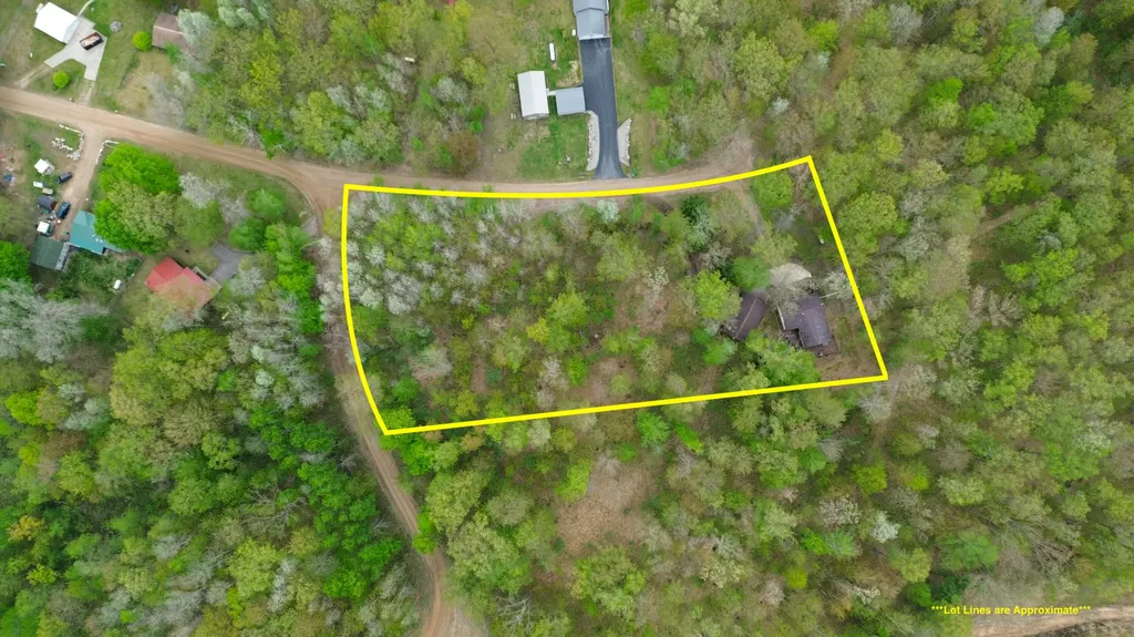 2081 Deer Lake Road Hayes Township MI 48625