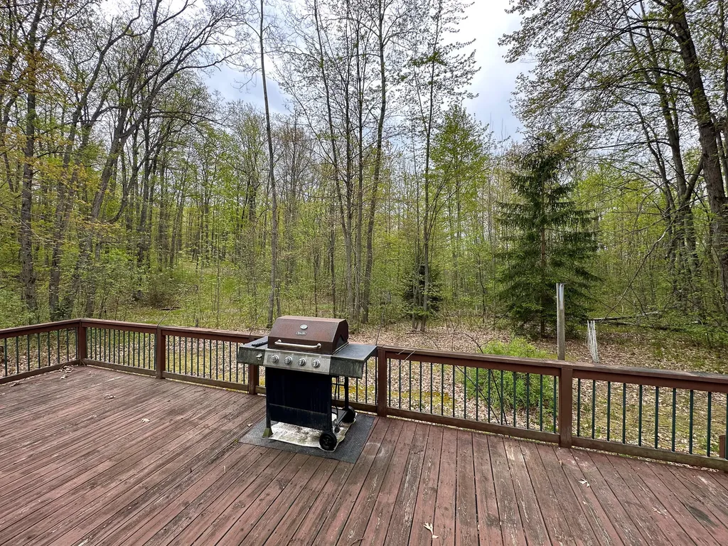2081 Deer Lake Road Hayes Township MI 48625
