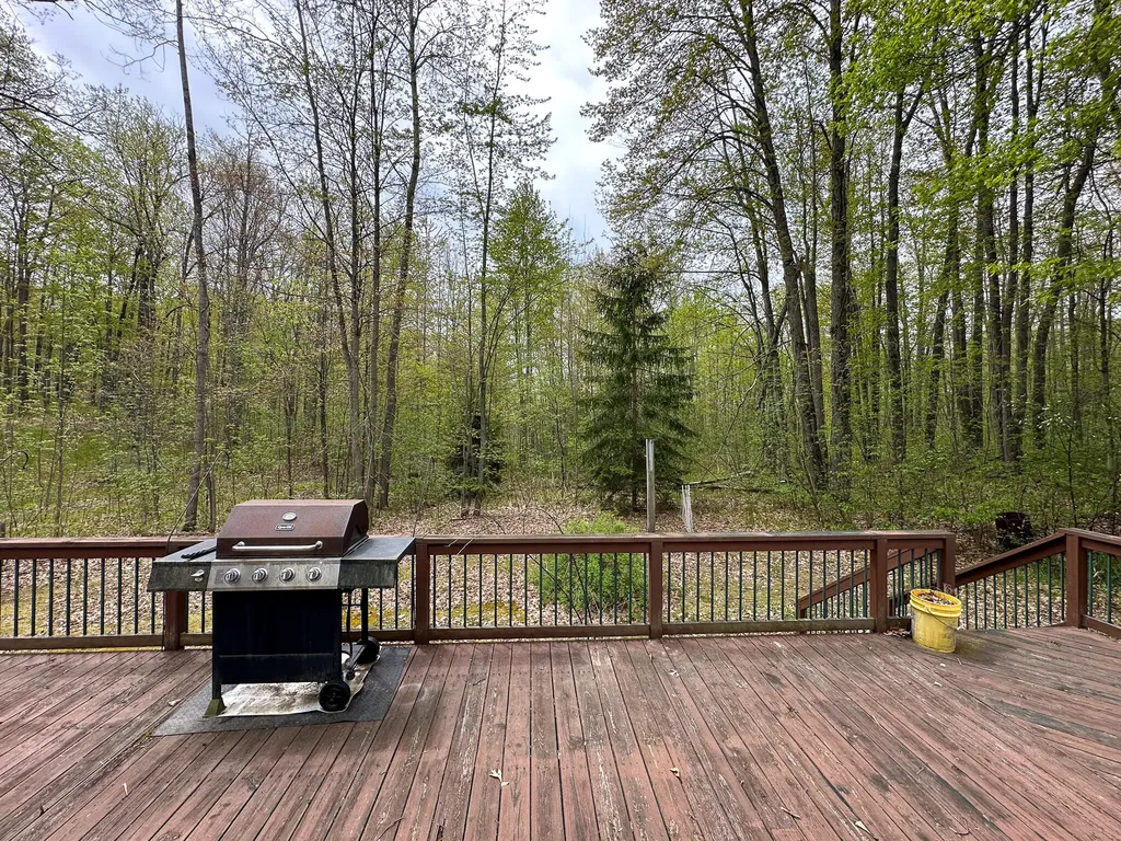 2081 Deer Lake Road Hayes Township MI 48625