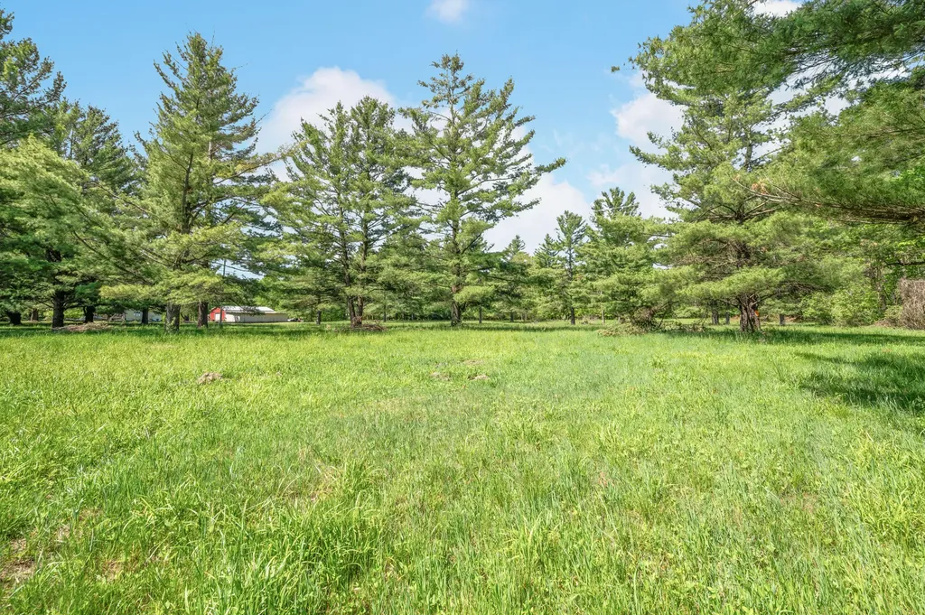 V/l 220th Avenue Green Charter Township MI 49307