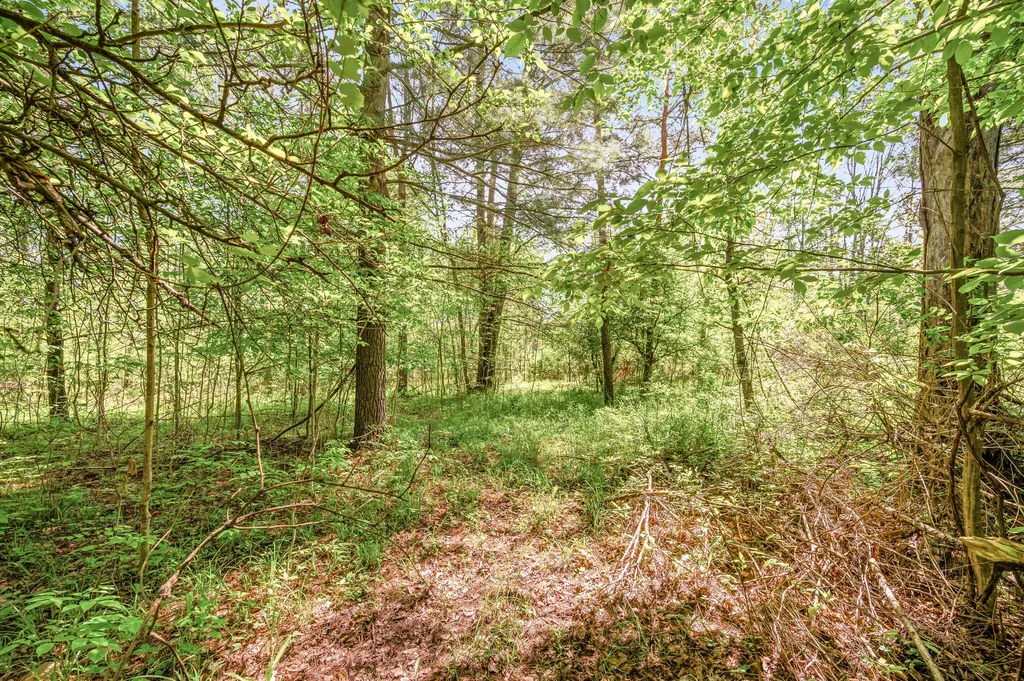 V/l 220th Avenue Green Charter Township MI 49307