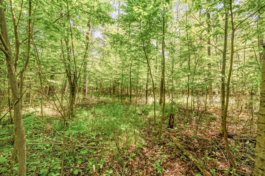 V/l 220th Avenue Green Charter Township MI 49307
