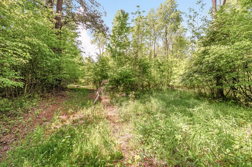 V/l 220th Avenue Green Charter Township MI 49307