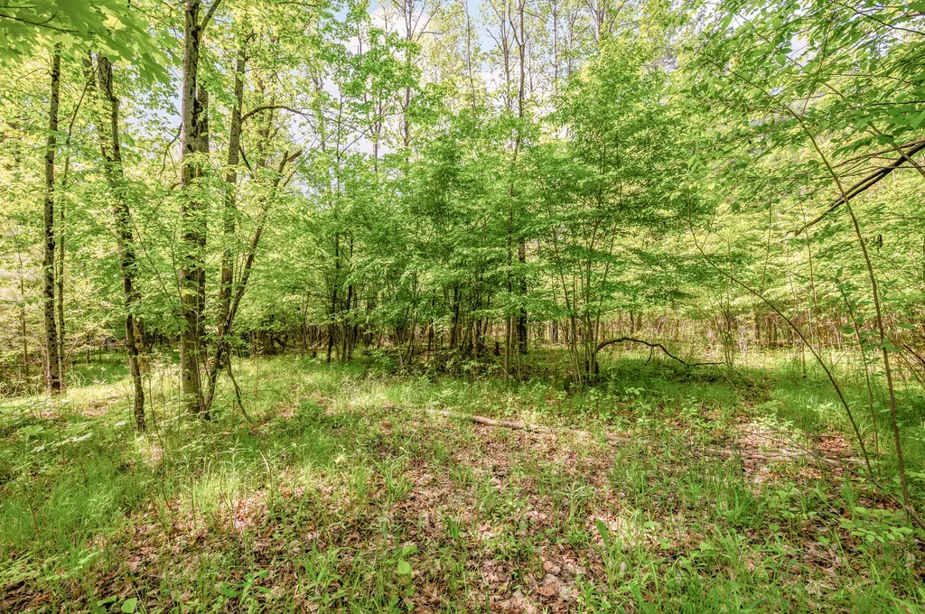 V/l 220th Avenue Green Charter Township MI 49307