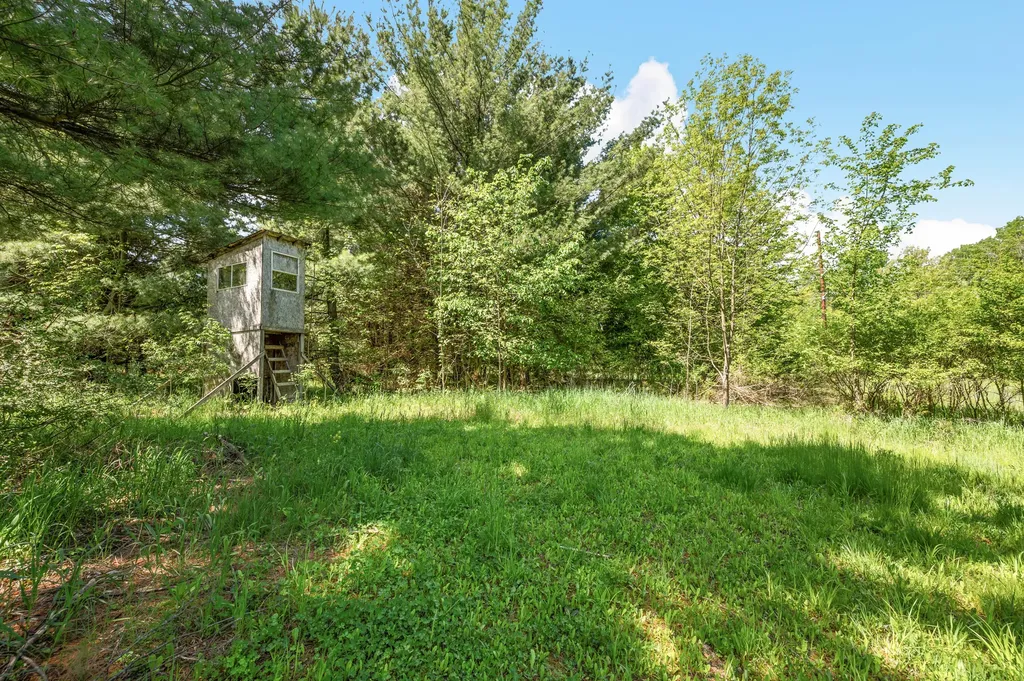 V/l 220th Avenue Green Charter Township MI 49307
