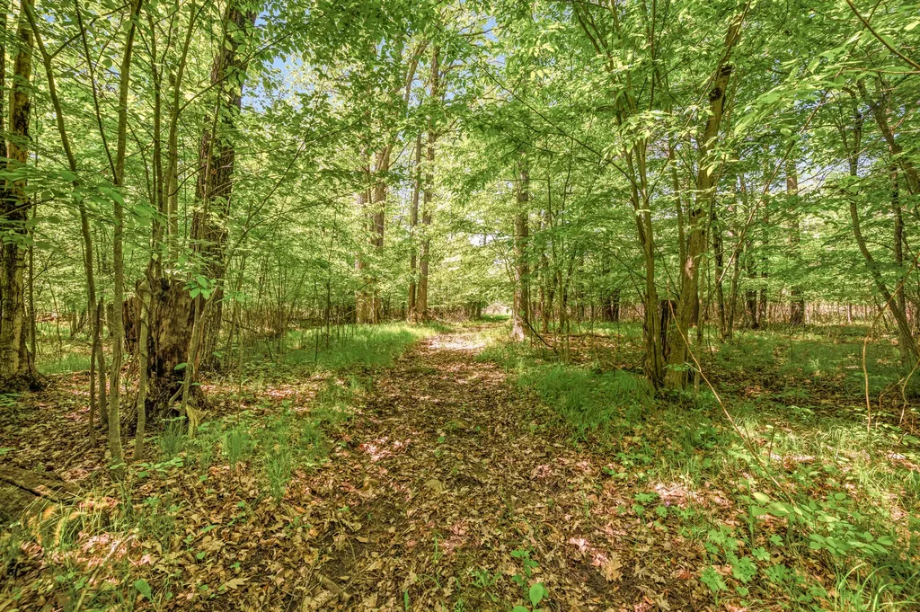 V/l 220th Avenue Green Charter Township MI 49307