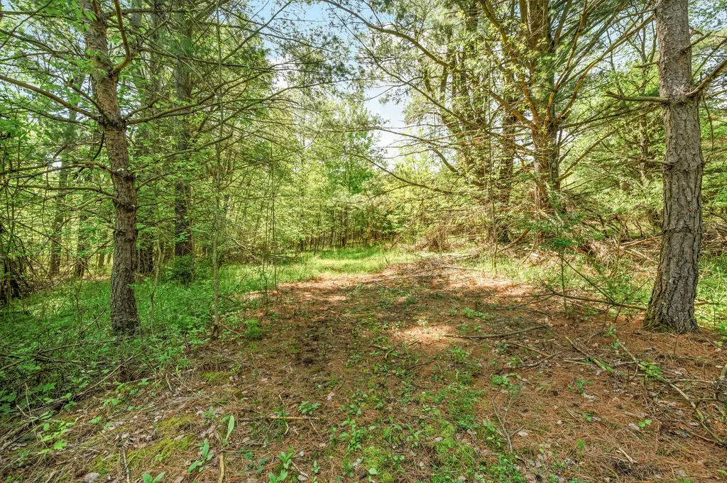 V/l 220th Avenue Green Charter Township MI 49307