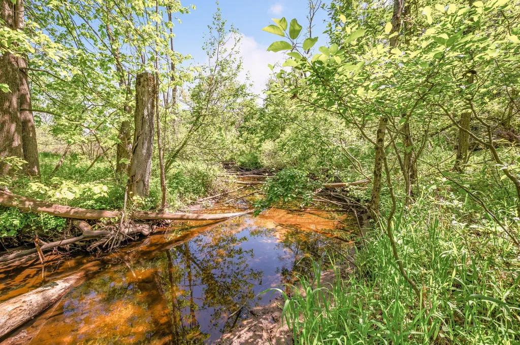 V/l 220th Avenue Green Charter Township MI 49307