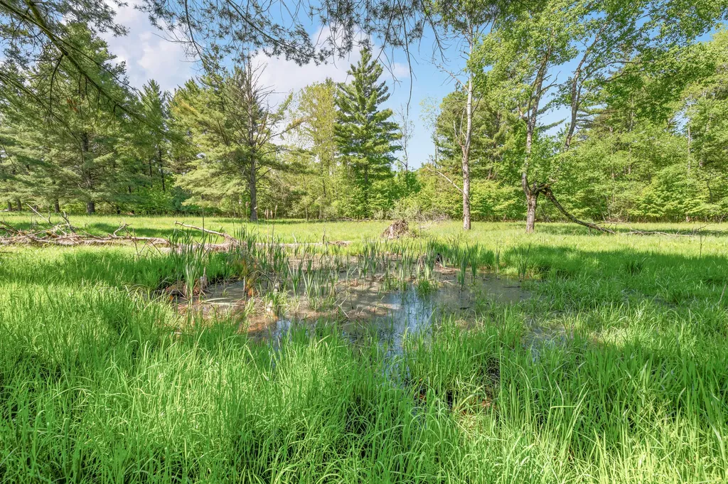 V/l 220th Avenue Green Charter Township MI 49307