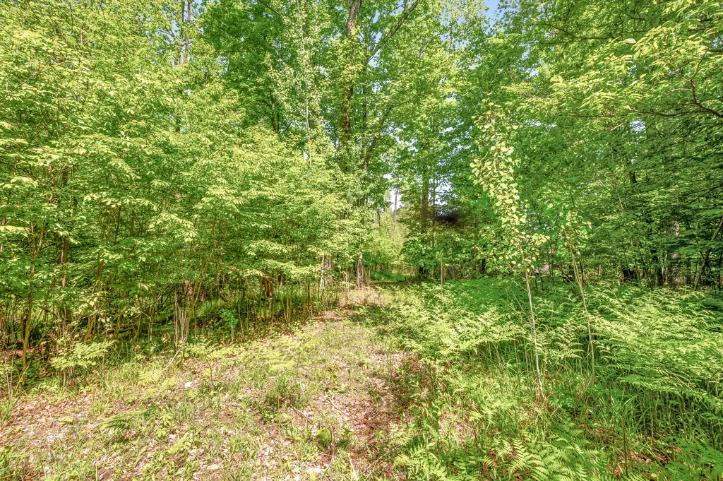 V/l 220th Avenue Green Charter Township MI 49307