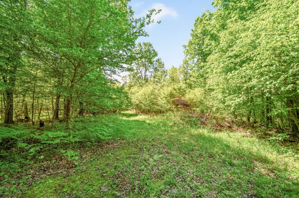 V/l 220th Avenue Green Charter Township MI 49307