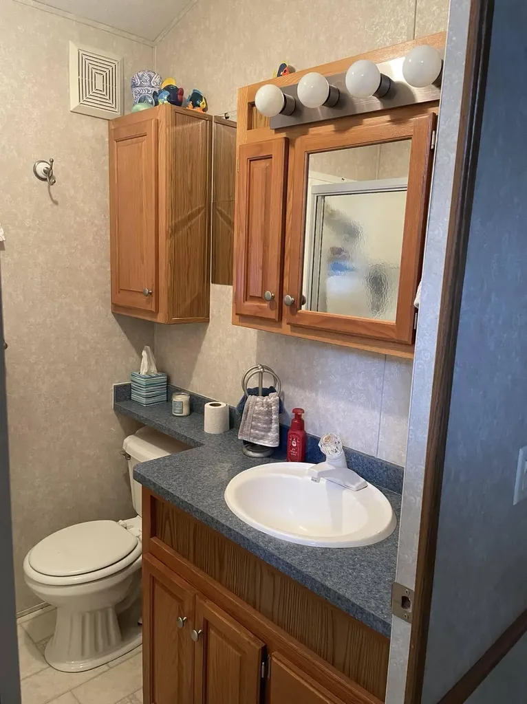 8091 Carriage Lane Morton Township MI 49336