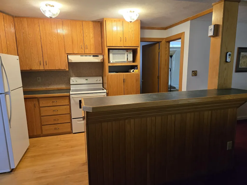 382 W Morgan Drive Peacock Township MI 49656