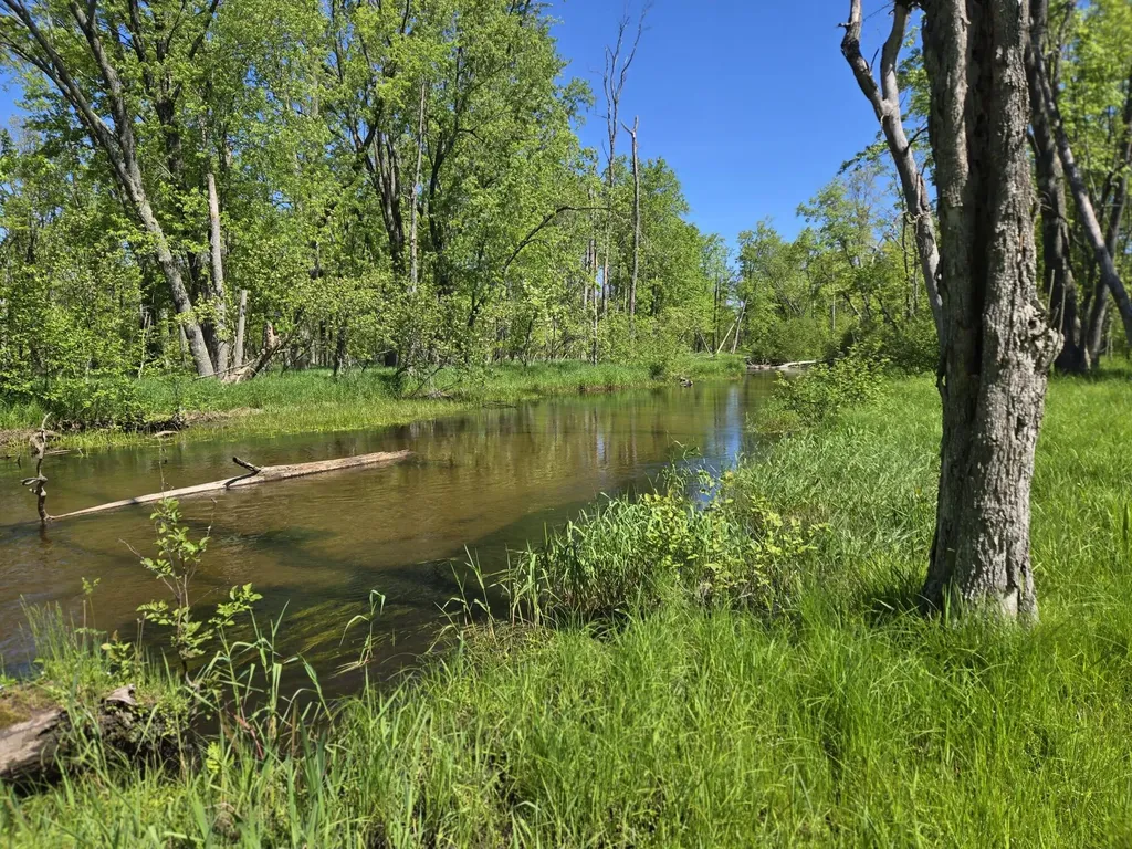382 W Morgan Drive Peacock Township MI 49656