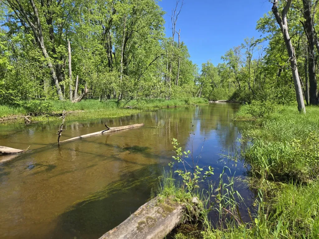 382 W Morgan Drive Peacock Township MI 49656