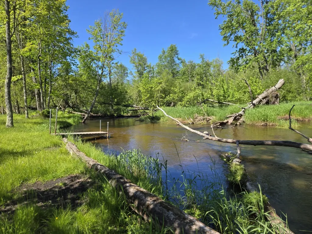 382 W Morgan Drive Peacock Township MI 49656