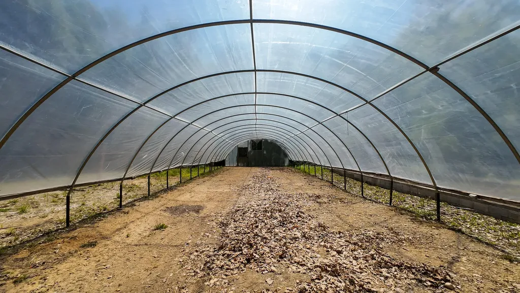 4196 W 4 Mile Road Lincoln Township MI 49349