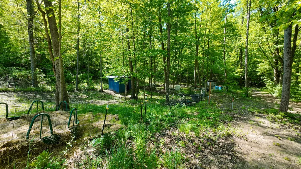 4196 W 4 Mile Road Lincoln Township MI 49349