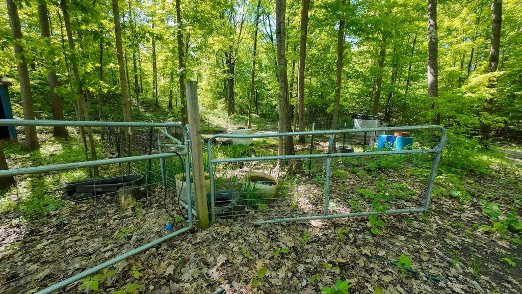 4196 W 4 Mile Road Lincoln Township MI 49349