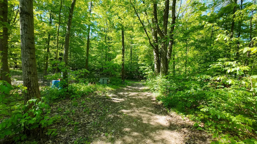 4196 W 4 Mile Road Lincoln Township MI 49349