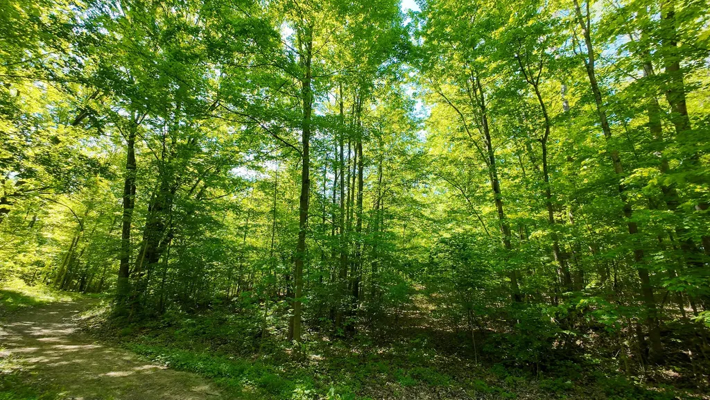 4196 W 4 Mile Road Lincoln Township MI 49349