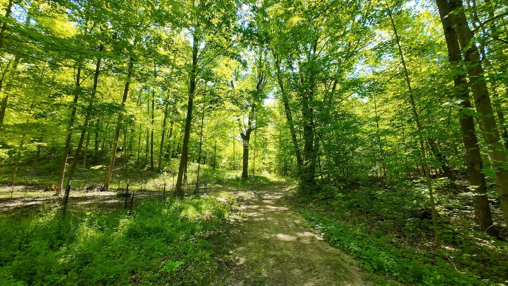 4196 W 4 Mile Road Lincoln Township MI 49349