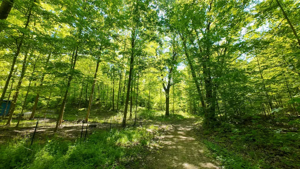 4196 W 4 Mile Road Lincoln Township MI 49349
